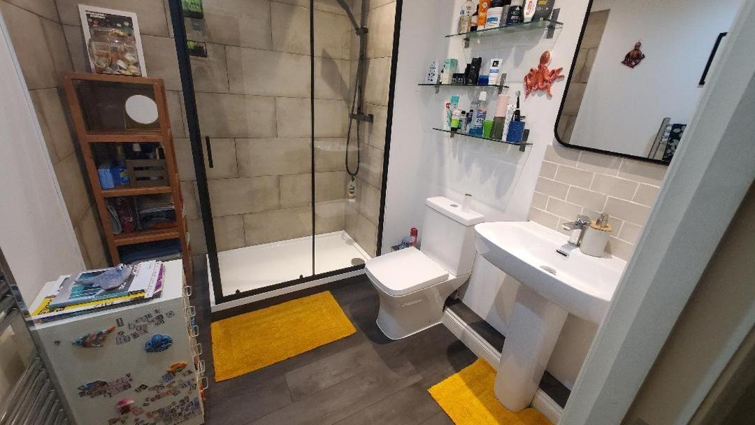 Modern And Stylish Flat *